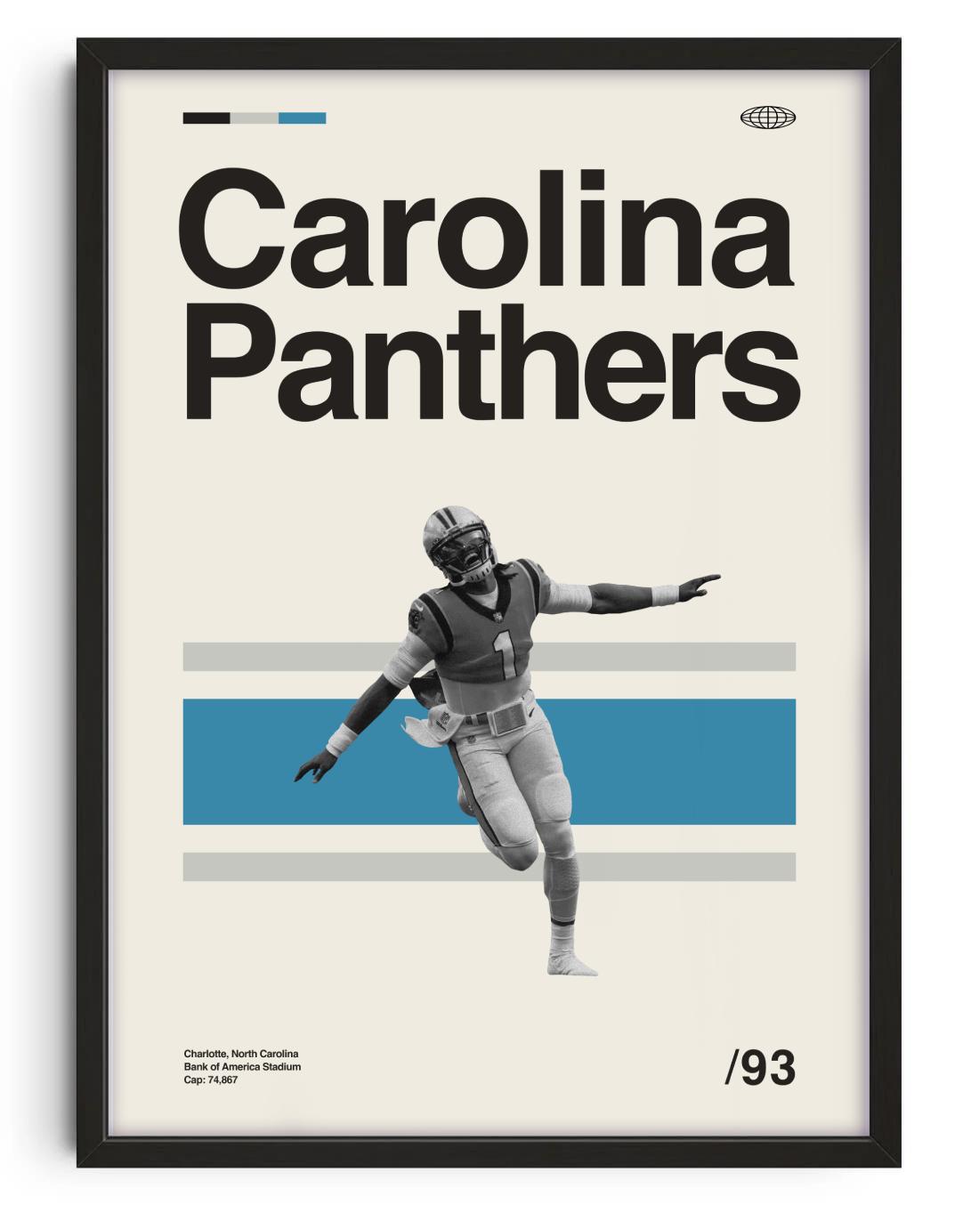 Carolina Panthers, Cam Newton