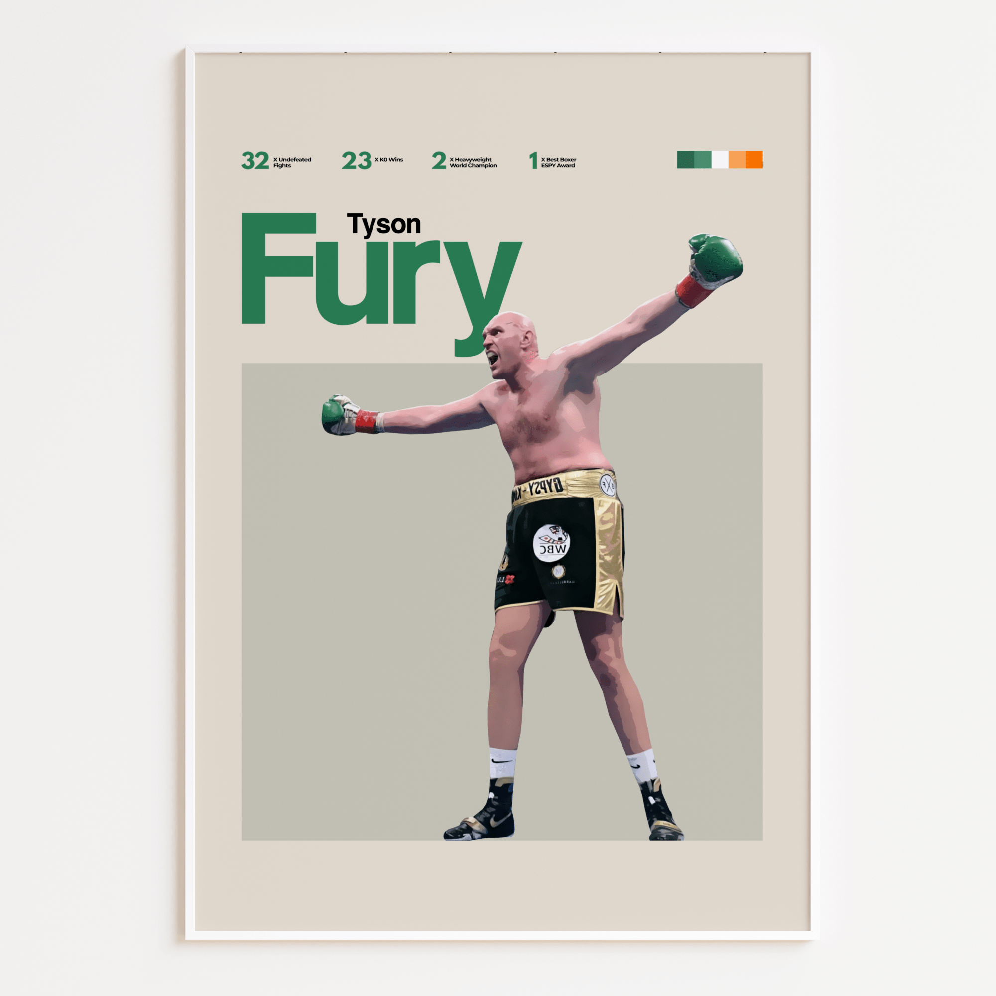 Tyson Fury, Boxing