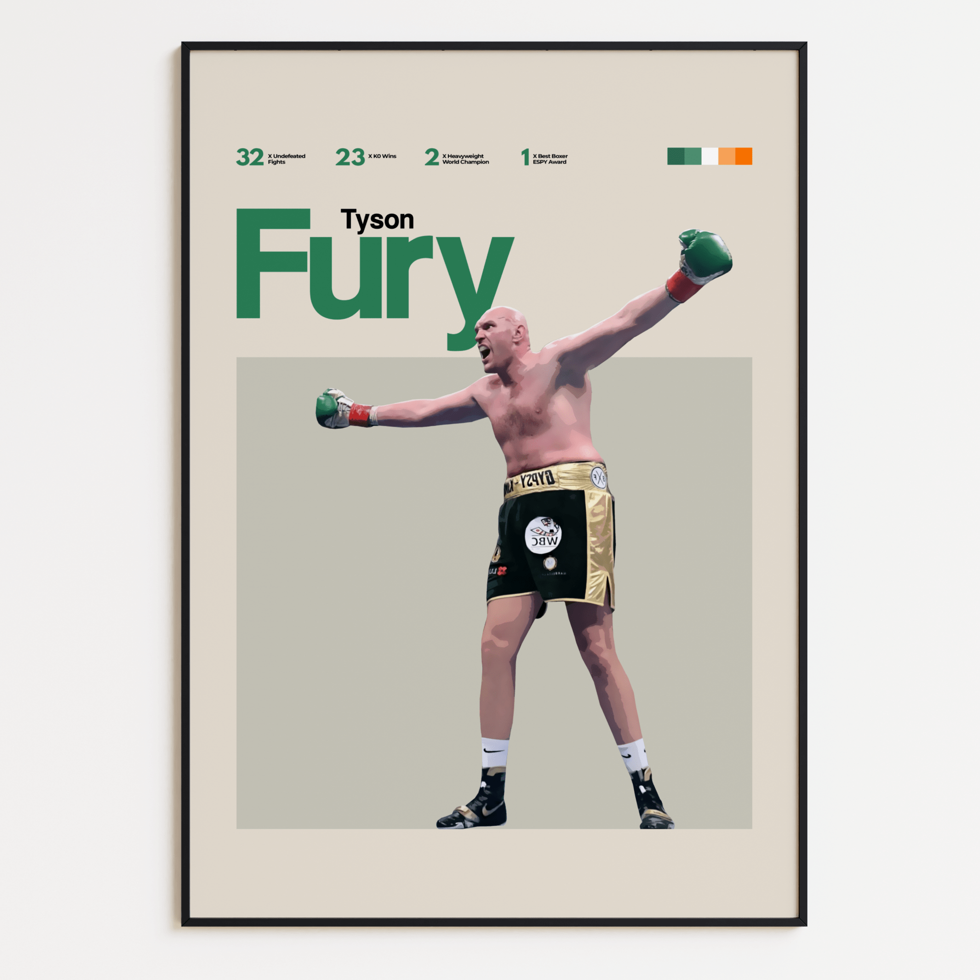 Tyson Fury, Boxing