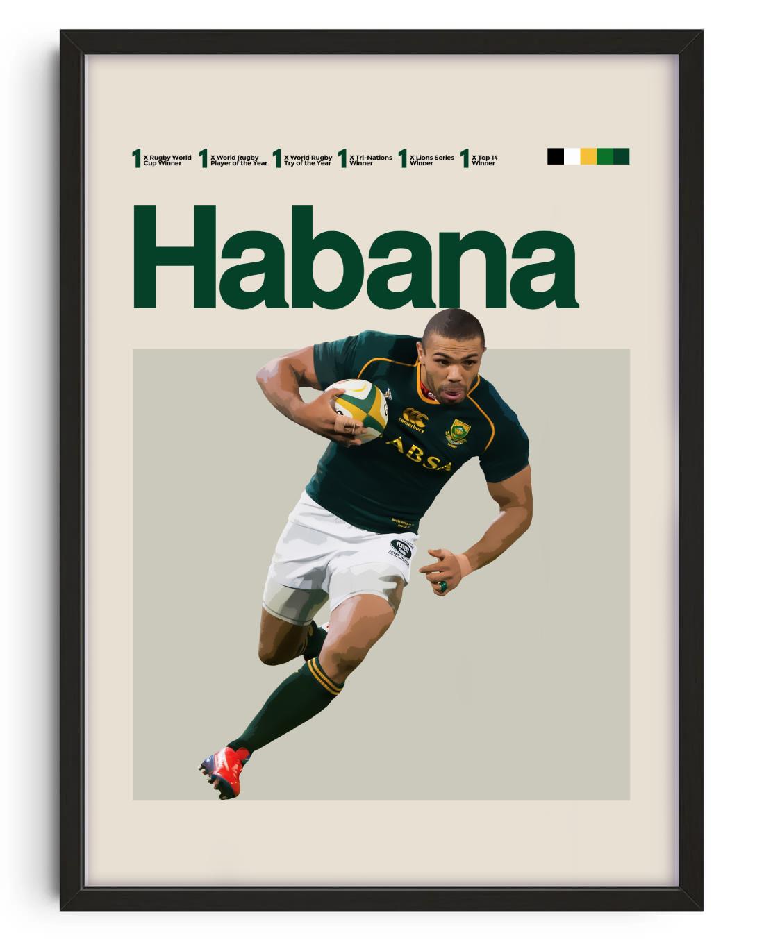 Bryan Habana, South African Rugby