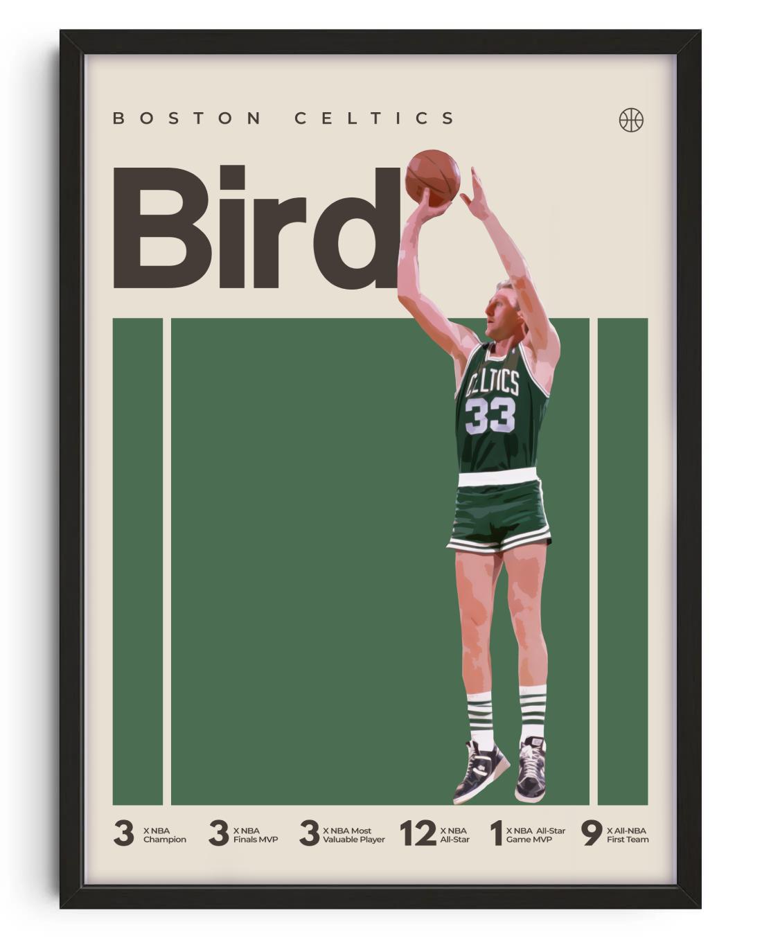 Larry Bird, Boston Celtics