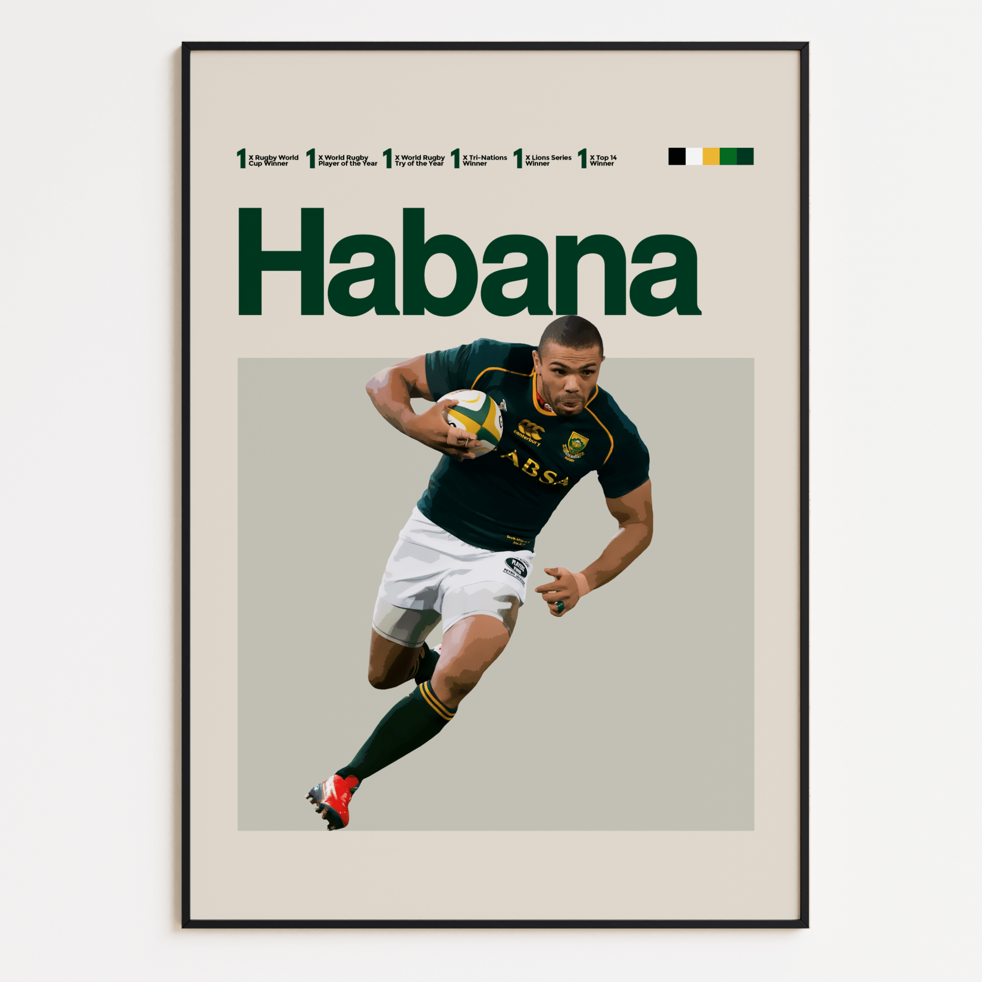 Bryan Habana, South African Rugby