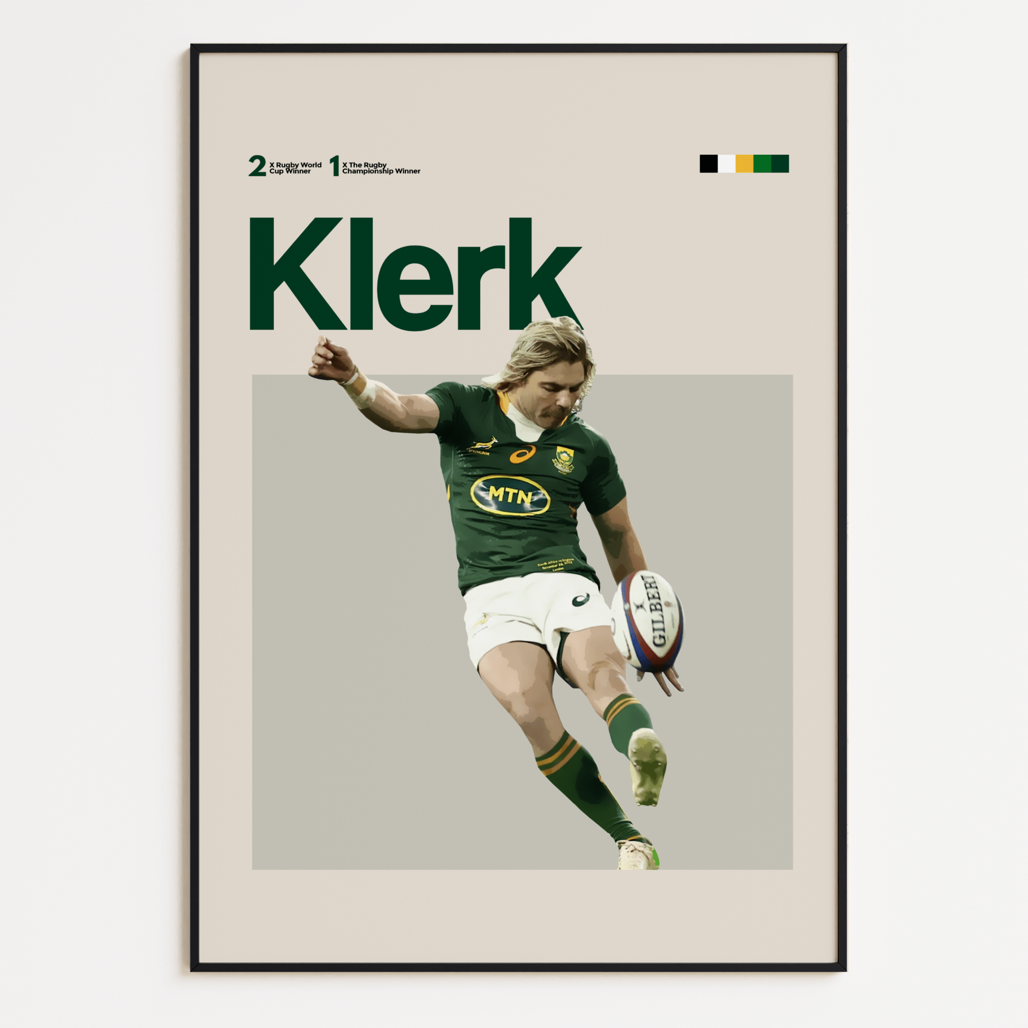 Faf de Klerk, South African Springboks