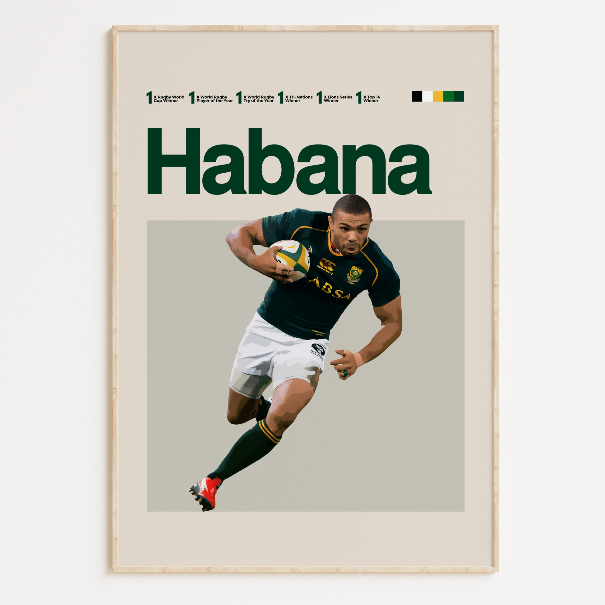 Bryan Habana, South African Rugby