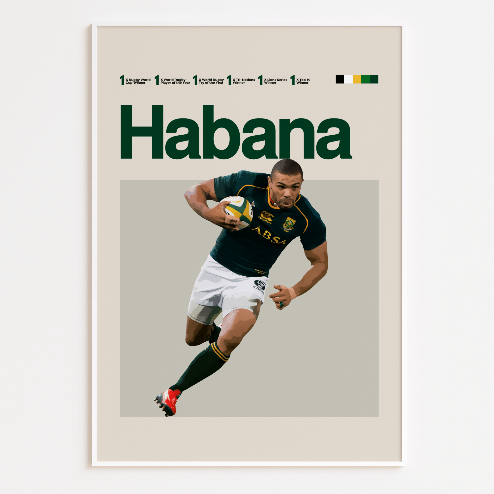 Bryan Habana, South African Rugby