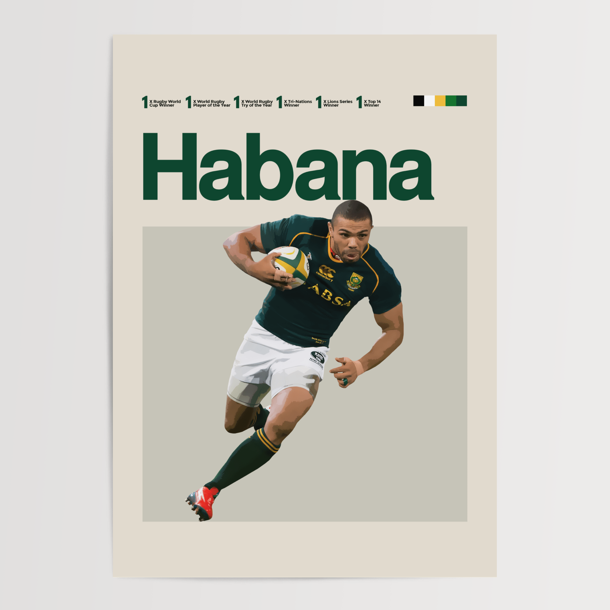 Bryan Habana, South African Rugby