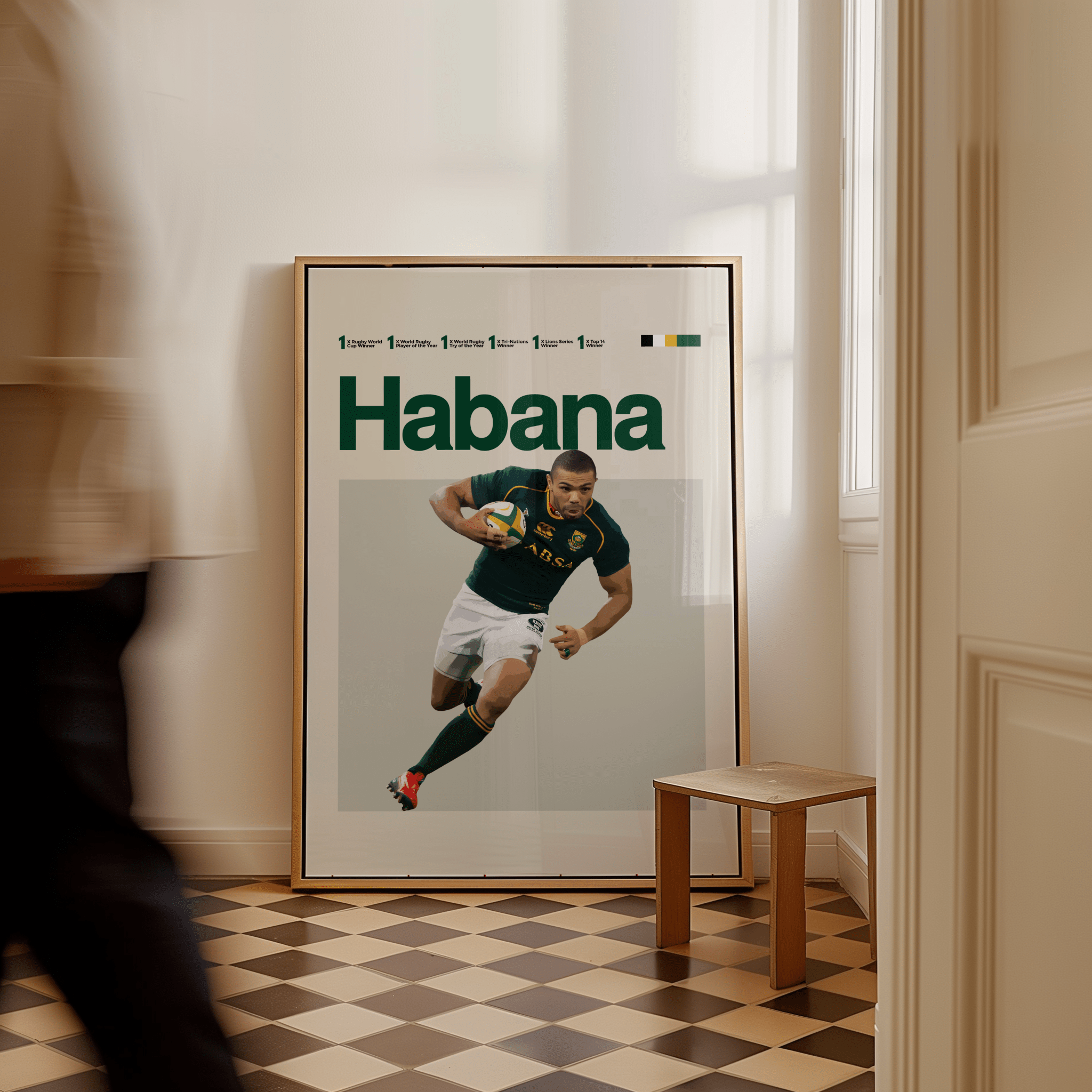 Bryan Habana, South African Rugby